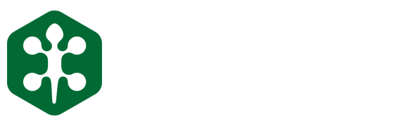https://web-heibai-sports.com/